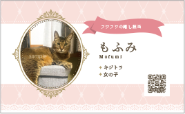 photo2-04.png